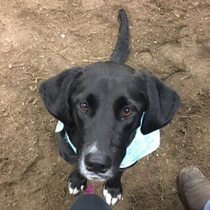 Meet your Posher, Ella louise